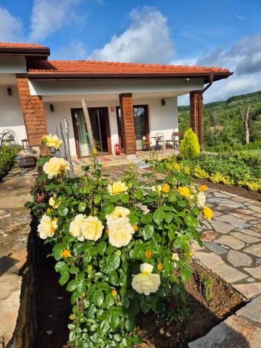 Vrt, Wildwood Adventure Village in Sevlievo