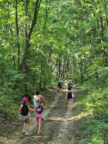 Bližnja okolica, Wildwood Adventure Village in Sevlievo