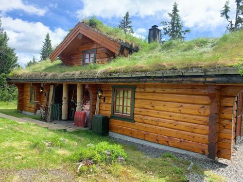 Exterior view, Timber cabin in Sjusjoen