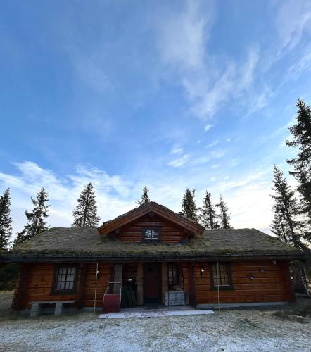 Exterior view, Timber cabin in Sjusjoen