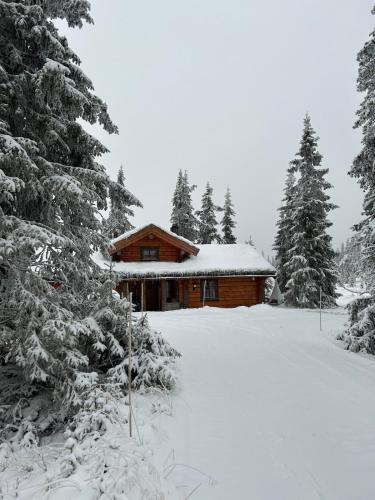 Exterior view, Timber cabin in Sjusjoen