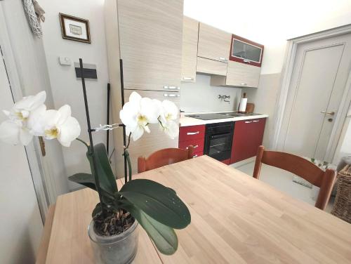Relax in the charming little apartment on the ground floor in Tonezza Del Cimone