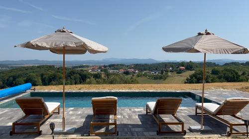 Villa Mestni Hill