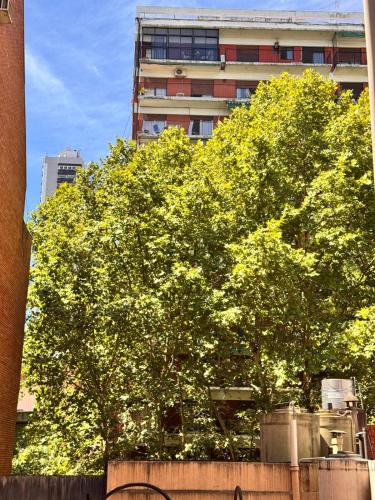 2 ambientes en Belgrano cerca de todo - image 3