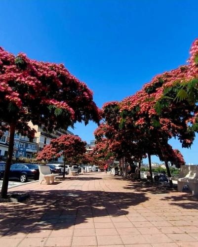Apartamentos Entre mareas