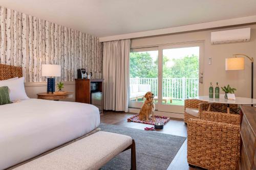 Bayview Hotel – Bar Harbor, ME
