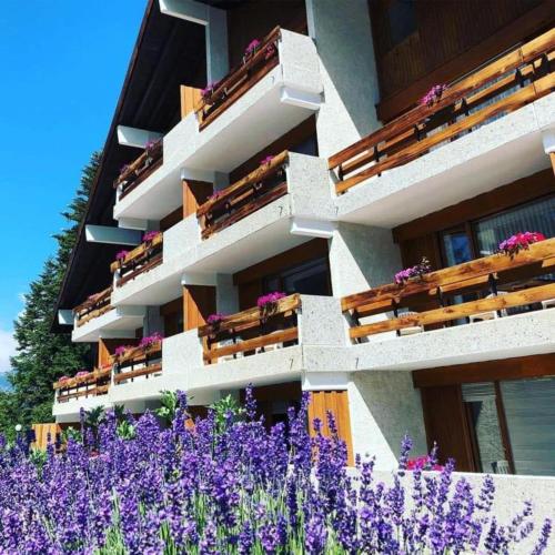 The Vintage at Crans-Montana in Crans-Montana, Schweiz