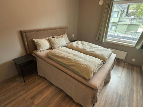 Large apartment, in the middle of Gol city center! in Gol