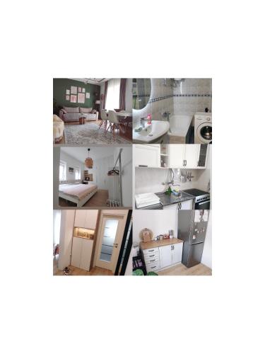 Cozy green apartment Ruzveltova - image 2