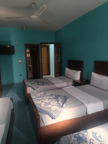 Aswan golden Land hotel - image 2