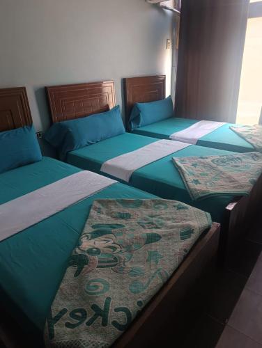 Aswan golden Land hotel