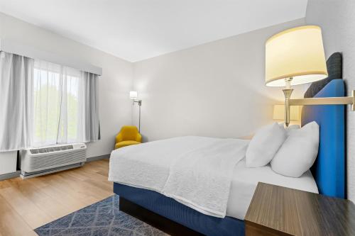 1 king bed