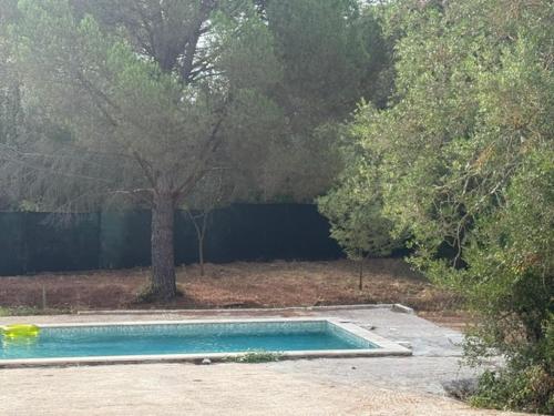 Градина, villa Reas in Saint-Raphael