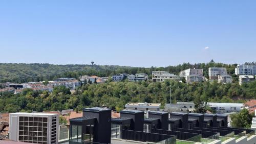 Dedinje Panorama