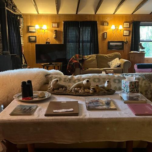Scorrabrae Orkney Country Cosy Cottage in Орфір