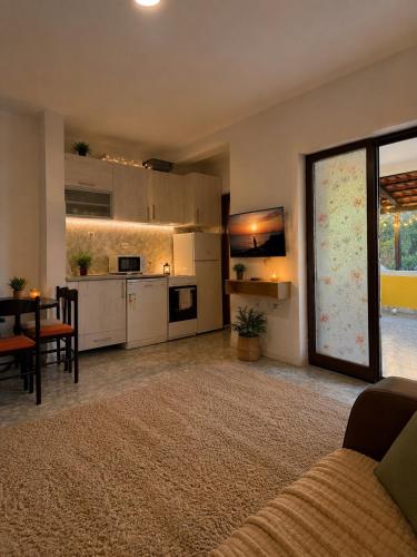 Simple Comfort Apartment in Petrovac