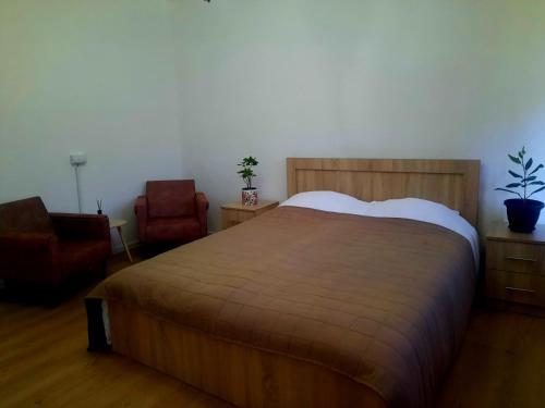 Apartman Surdulica - Location saisonnière - Surdulica