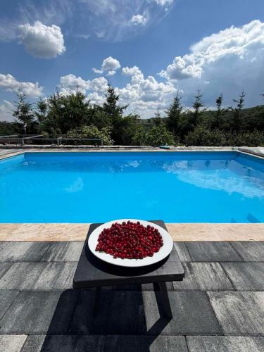 Pool for rent in Kmetovce