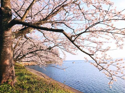 Nearby attraction, FarmStay INN 別館 三左衛門邸 Sanzaemontei 65m2 wide room - One group per day, one building available for ex in Takashima