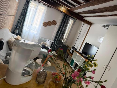 Relaxant studio tout équipé - Idéal Séjour Disneyland - Location saisonnière - La Ferté-sous-Jouarre