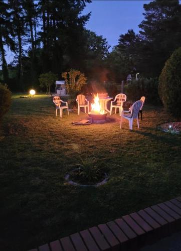 Seestern in Lindow