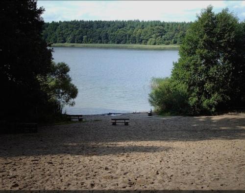 Seestern in Lindow