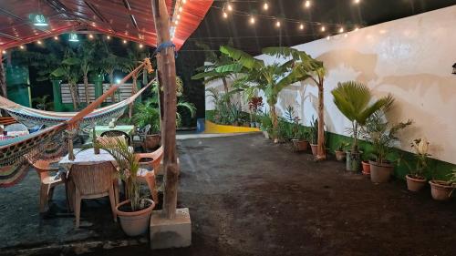 Cocos Hostel in Moyogalpa