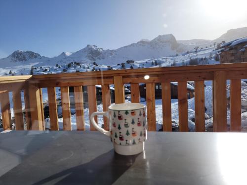 Studio duplex vue panoramique ski aux pieds 2100m d'altitude