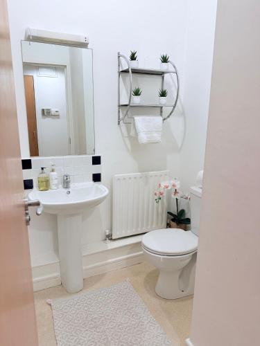 Modern Spacious 1 Bed Apartment, Dublin (fotografie 6)