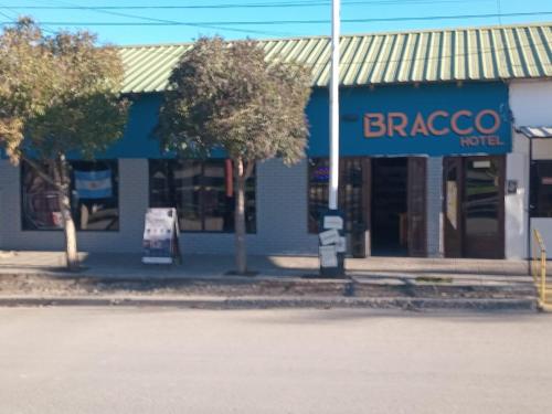 Bracco in Chos Malal