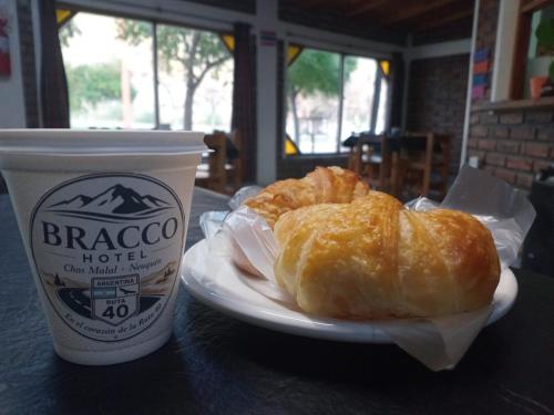 Bracco in Chos Malal