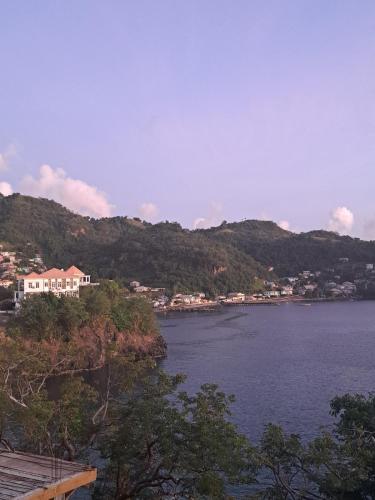 Home by the Beach in St. Vincent