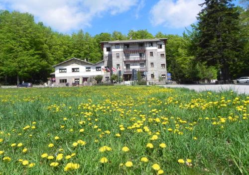 Albergo Le Macinaie - Monte Amiata