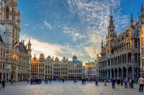BrusselsNest - image 5