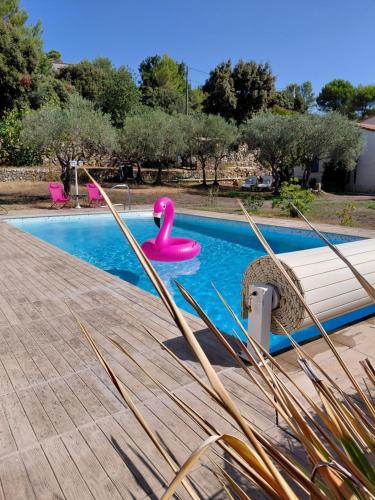 Studio loft avec piscine et extérieur au calme - VAR - Location saisonnière - Saint-Maximin-la-Sainte-Baume