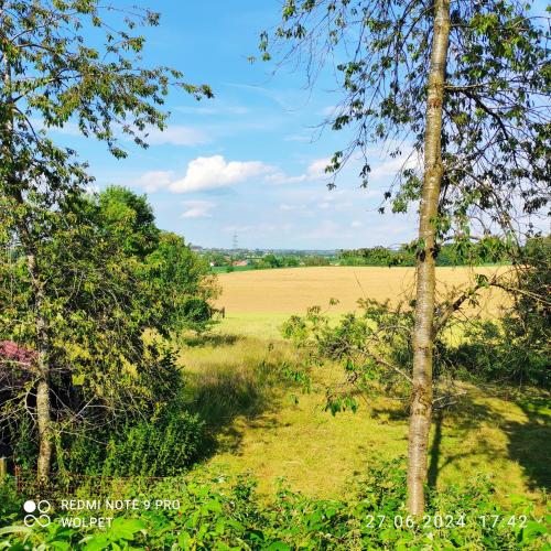 Ferienwohnung Viktoria mit Garten in Taufkirchen (Vils)