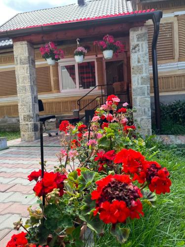 Casa traditionala Subcetate