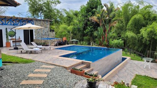 Piscina infinita, vista a las montañas y caballos
