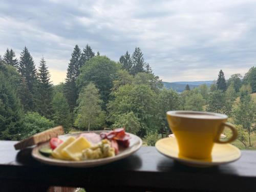 HamrákOFF penzion, bistro, kuličkodrom (HamrakOFF penzion, bistro, kulickodrom) in Nicov