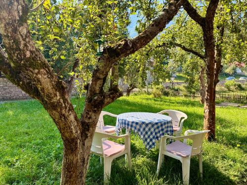 Sofia Guest House in Andrijevica