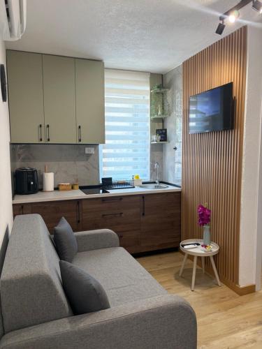 Studio Apartman Čekić