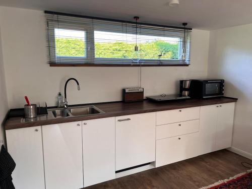 Ferienhaus Ferienwohnung mit Seezugang 1x über die Straße (Ferienhaus Ferienwohnung mit Seezugang 1x uber die Straße) in Gross Wittensee