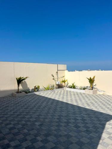 مصيره راس حلف in Hilf