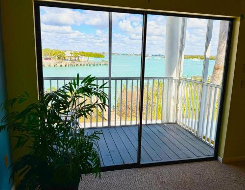 Chadwick Cove Marina 4