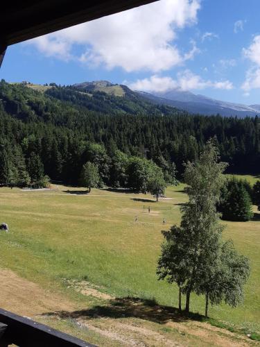 Studio chaleureux aux Glovettes - Location saisonnière - Villard-de-Lans
