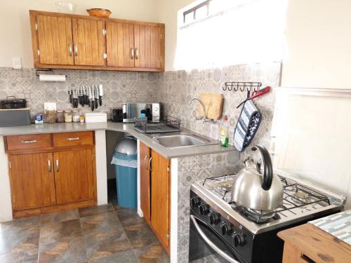 Shallow Pig Cottage in Riastuine AH