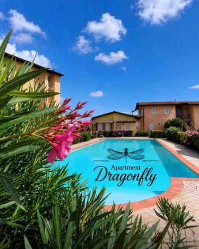 Apartment Dragonfly