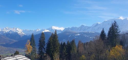 Résidence La Cry - Appartement 3 pièces - 6 personnes Vue Mont-Blanc MAE-5604