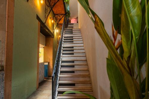 Straw Hat Hostel & RoofTop Bar CDMX - image 3