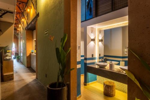 Straw Hat Hostel & RoofTop Bar CDMX - image 2